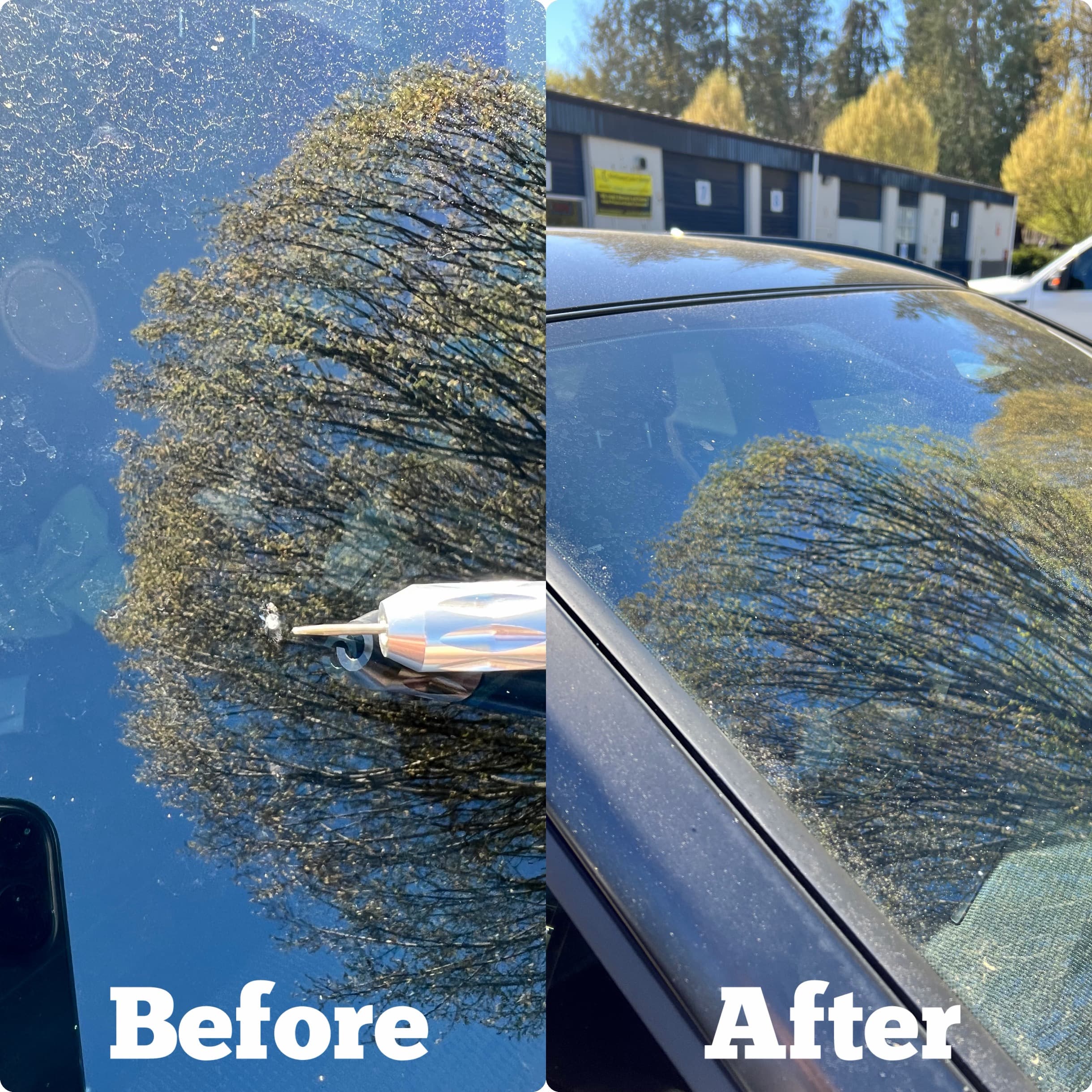 Recent windshield repair portfolio photo 4